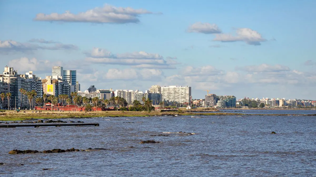 Línea de edificios de apartamentos sobre la costa, vista desde el agua