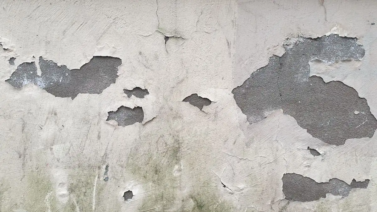 Pared con la pintura descascarada, revoque gris a la vista y manchas verdosas de humedad abajo