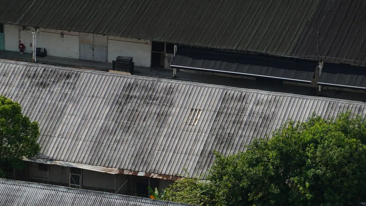 Techos ondulados de naves industriales con manchas oscuras de moho, vistos desde arriba