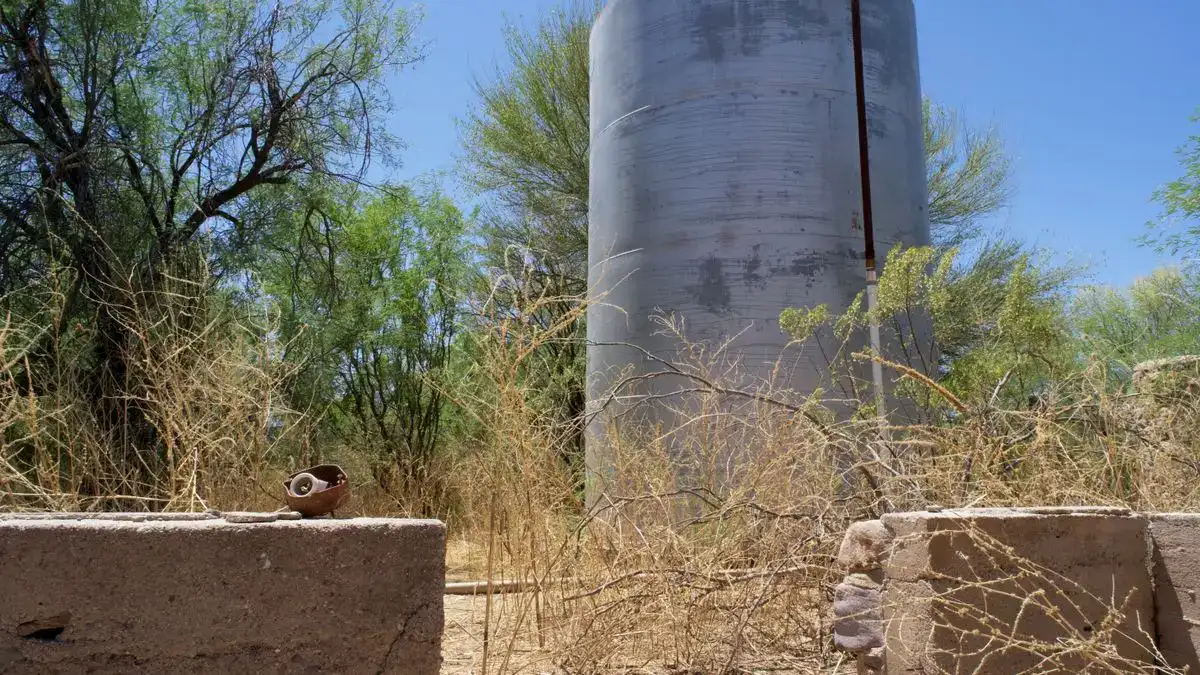 Tanque de agua cilíndrico gris entre árboles y pastos secos, con muretes de hormigón adelante